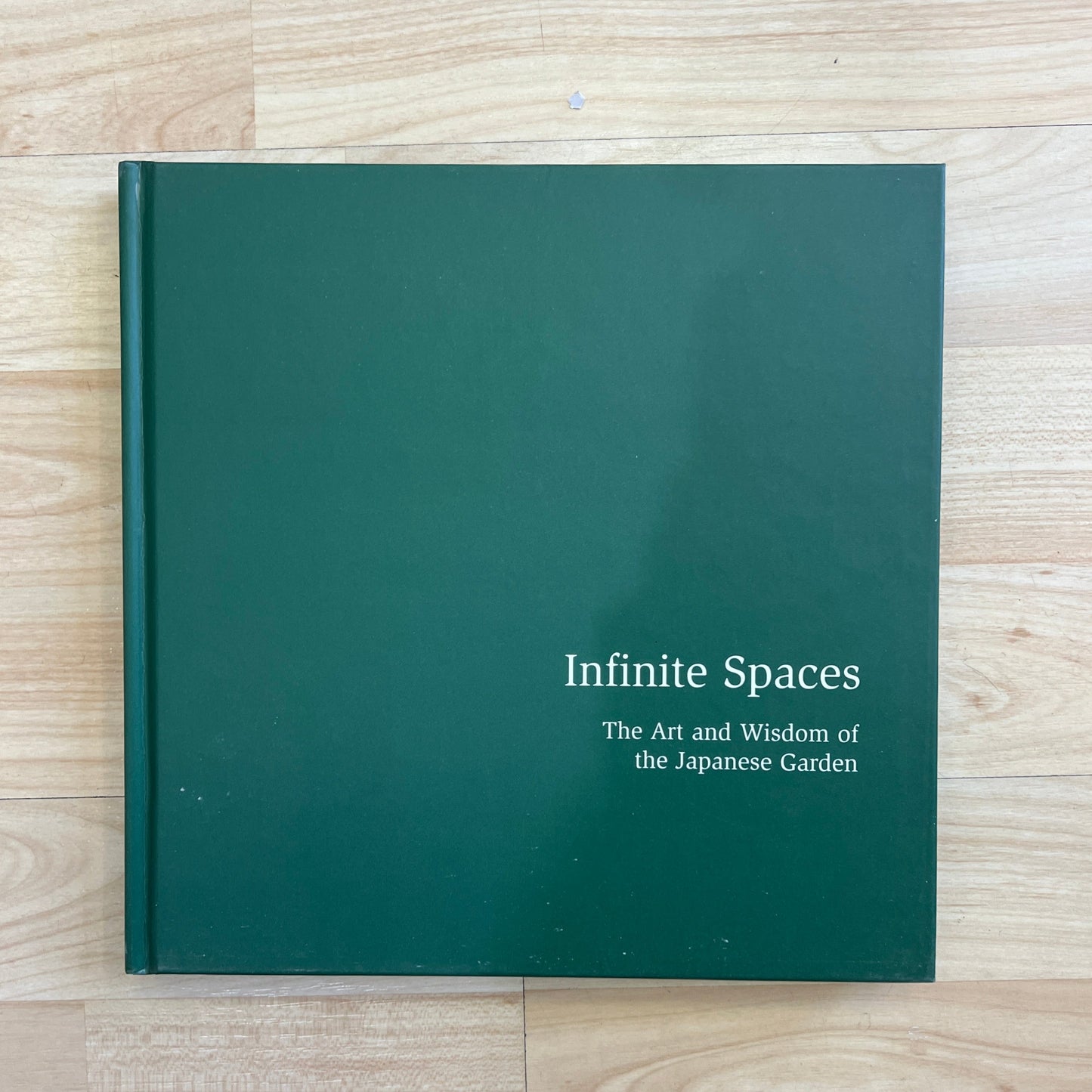 Infinite Spaces