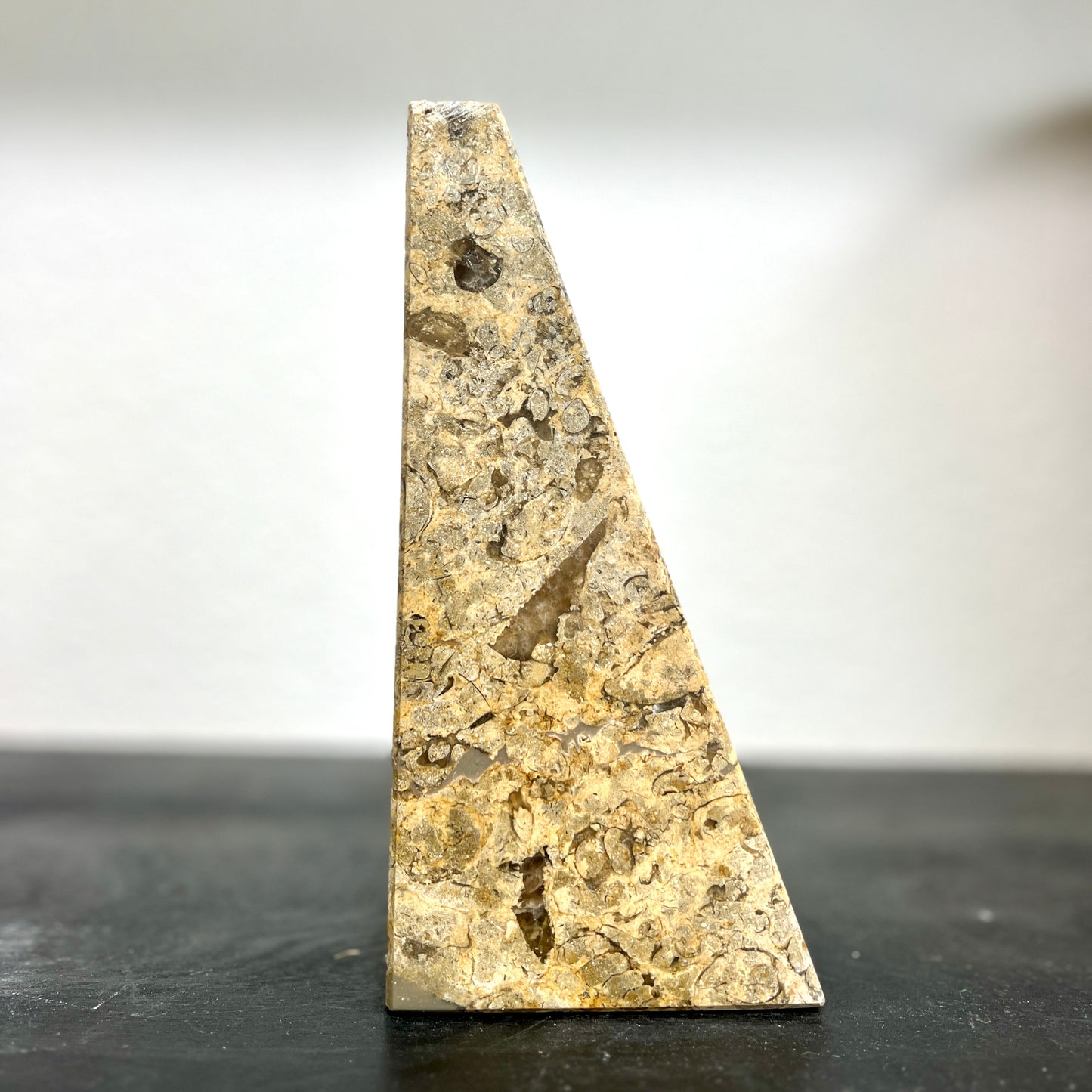 Cream fossilized marble bookend