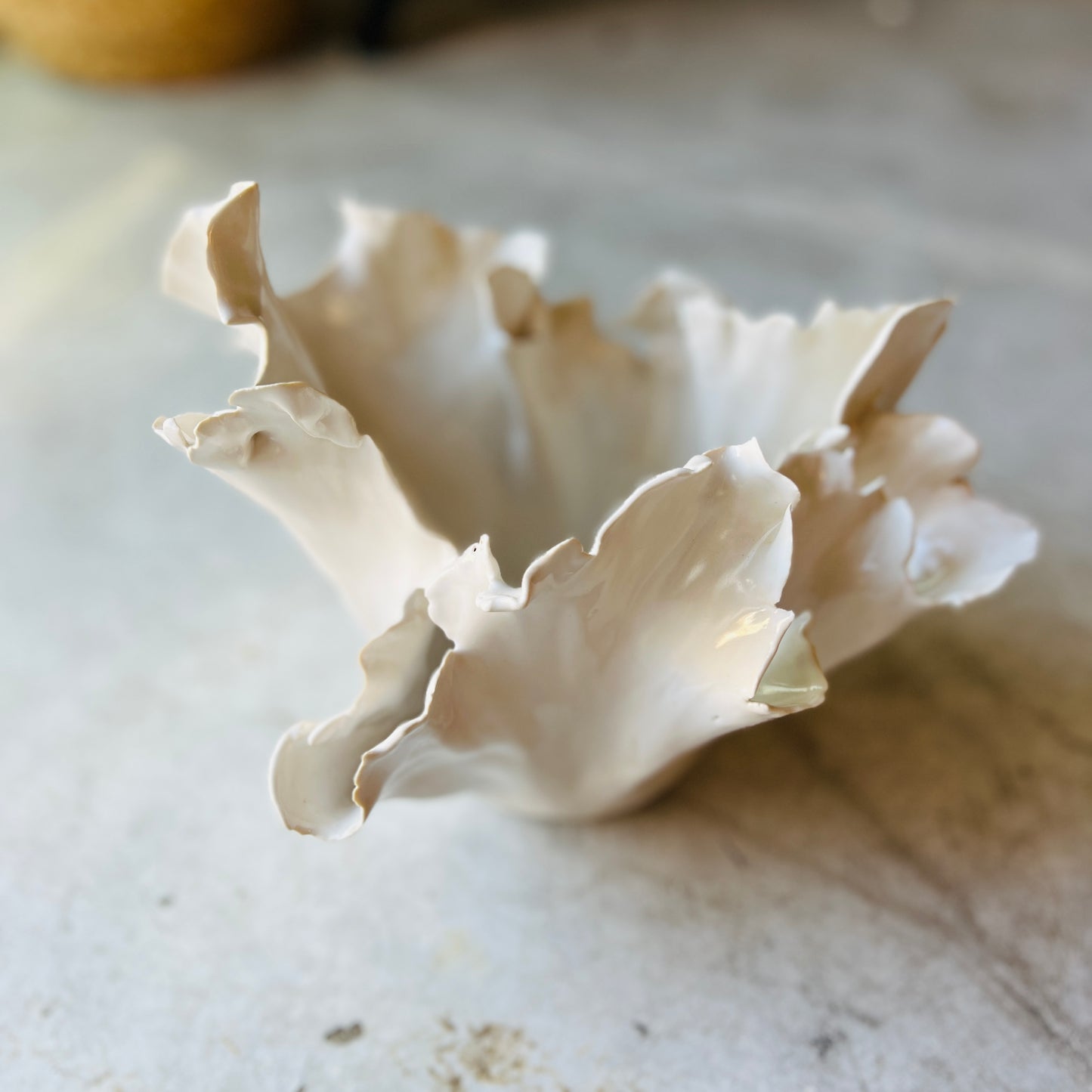 White ceramic organic vase